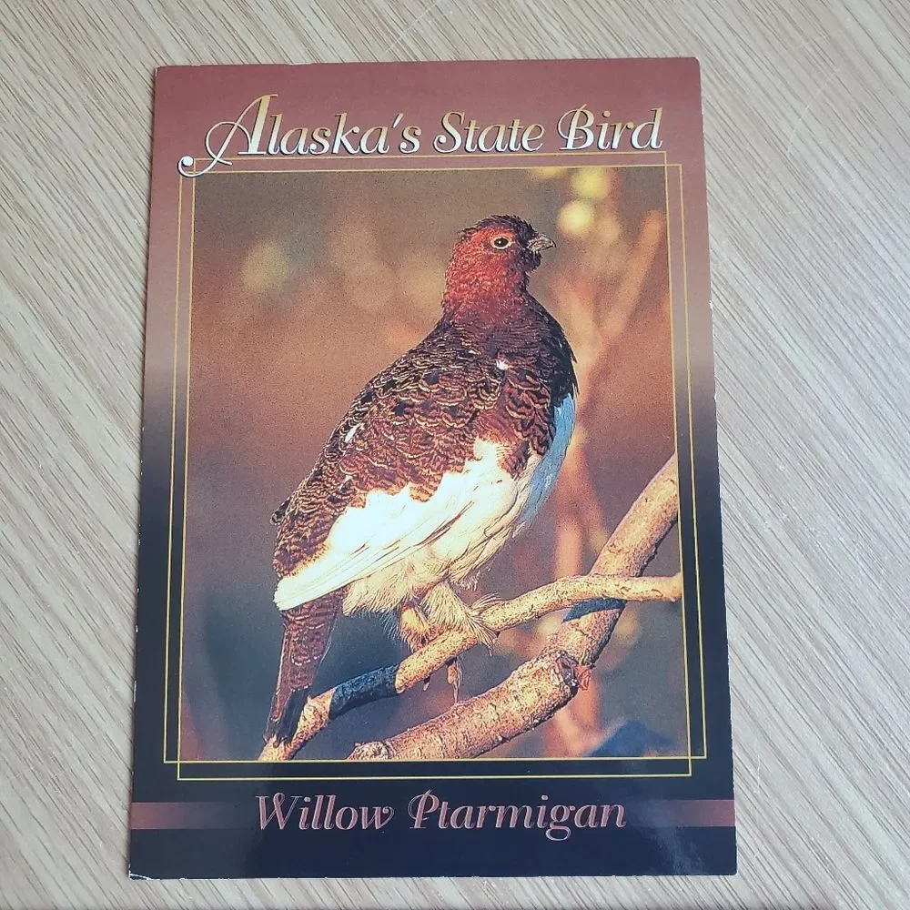 Vintage Alaska Themed State Postcards State Bird Willow Ptarmigan Bald Eagle 4x6